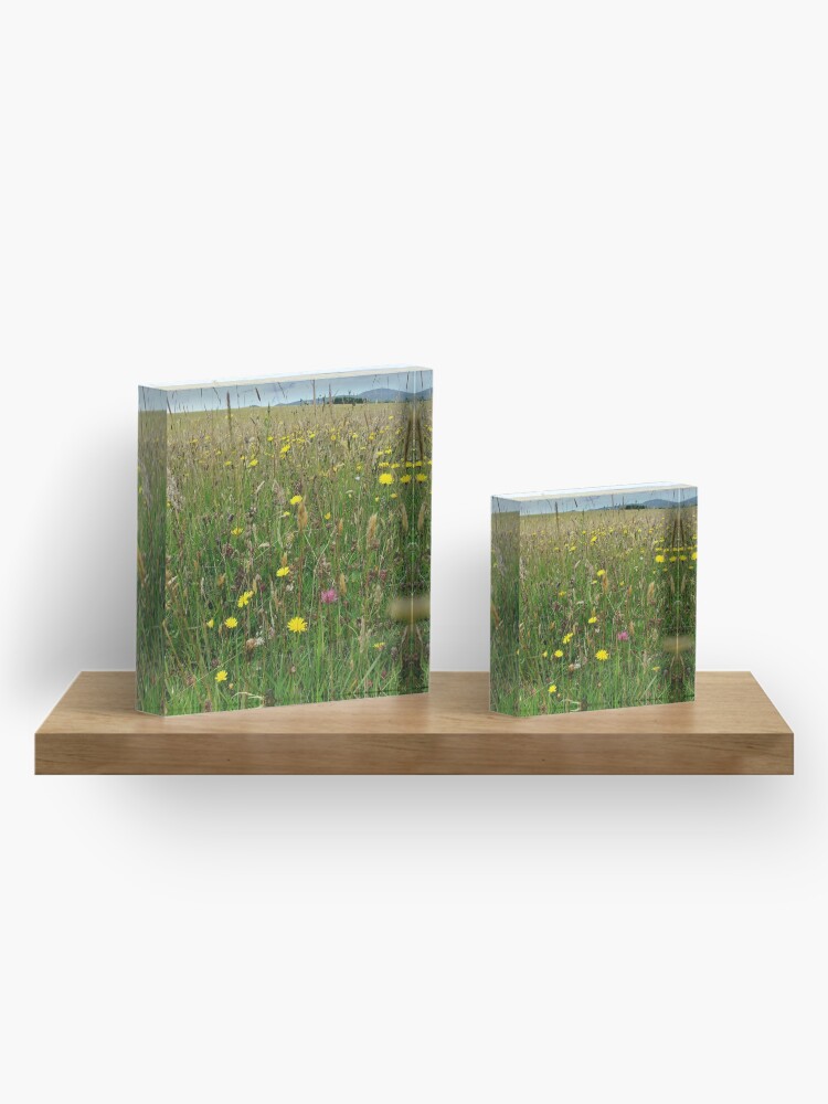 Thumbnail 4 of 5, Acrylic Block, Ballannette designed and sold by IOMWildFlowers.