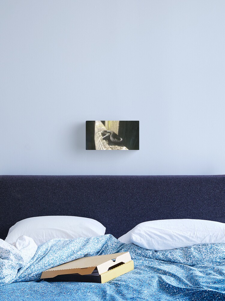 Thumbnail 2 of 3, Canvas Print, Clypse and Kerrowdhoo designed and sold by IOMWildFlowers.