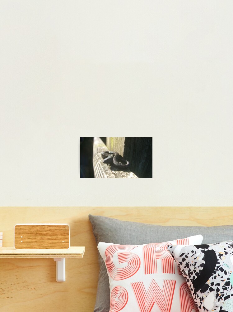 Thumbnail 2 of 3, Photographic Print, Clypse and Kerrowdhoo designed and sold by IOMWildFlowers.
