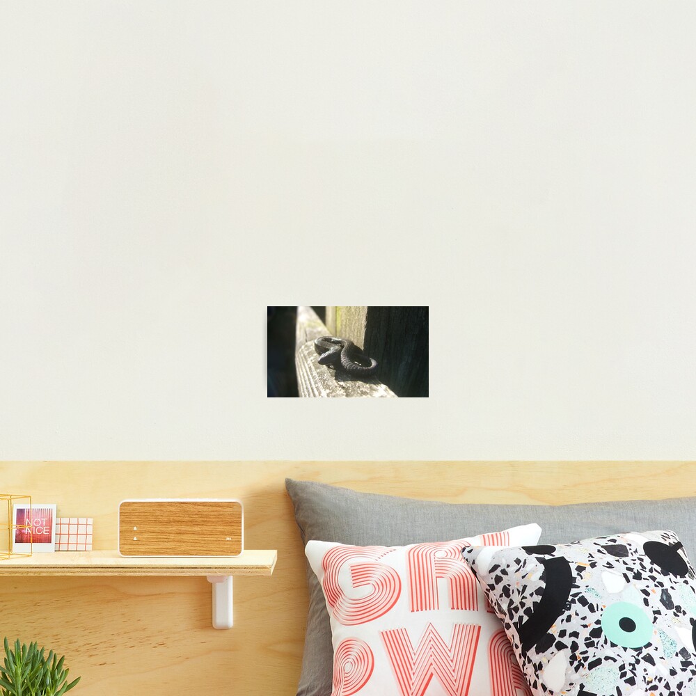 Item preview, Photographic Print designed and sold by IOMWildFlowers.