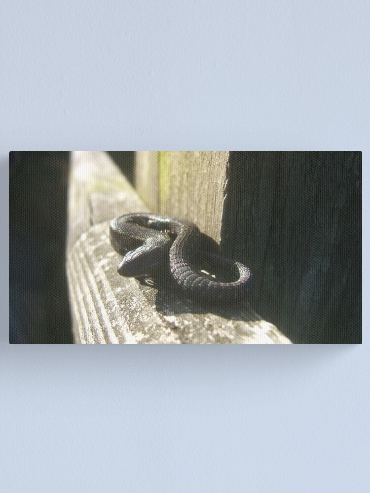 Thumbnail 1 of 3, Canvas Print, Clypse and Kerrowdhoo designed and sold by IOMWildFlowers.