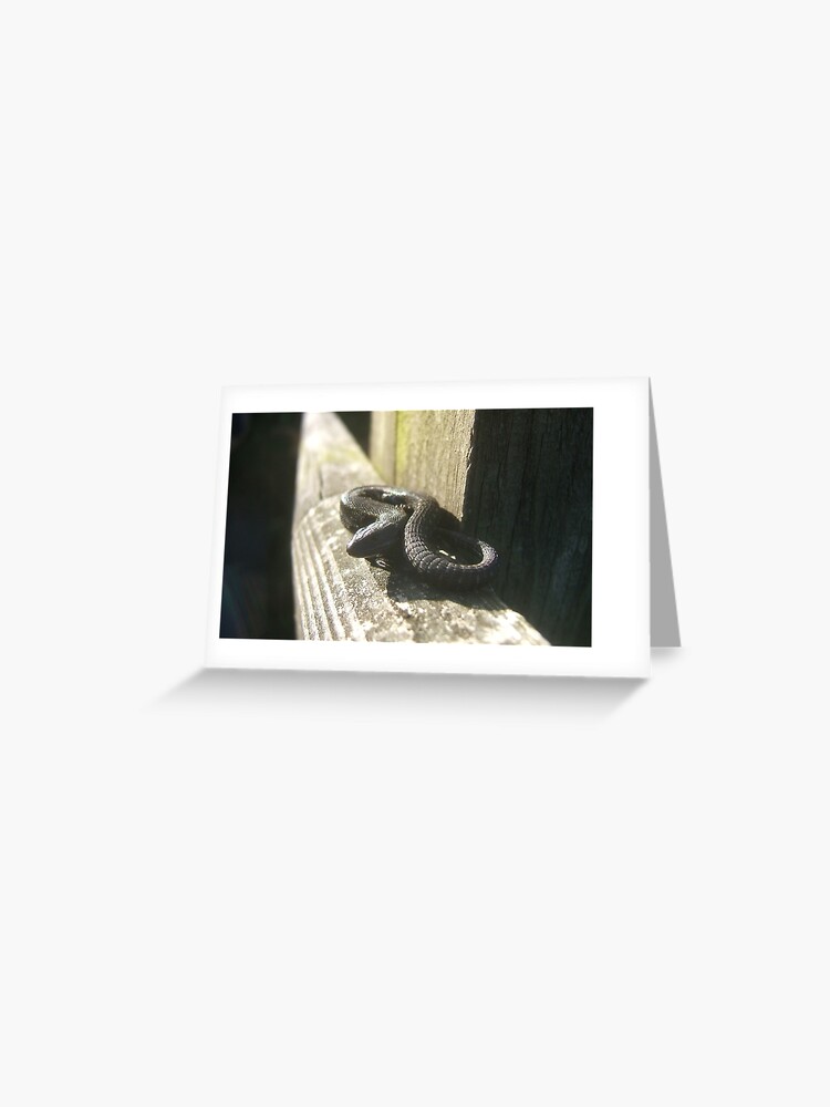 Thumbnail 1 of 2, Greeting Card, Clypse and Kerrowdhoo designed and sold by IOMWildFlowers.