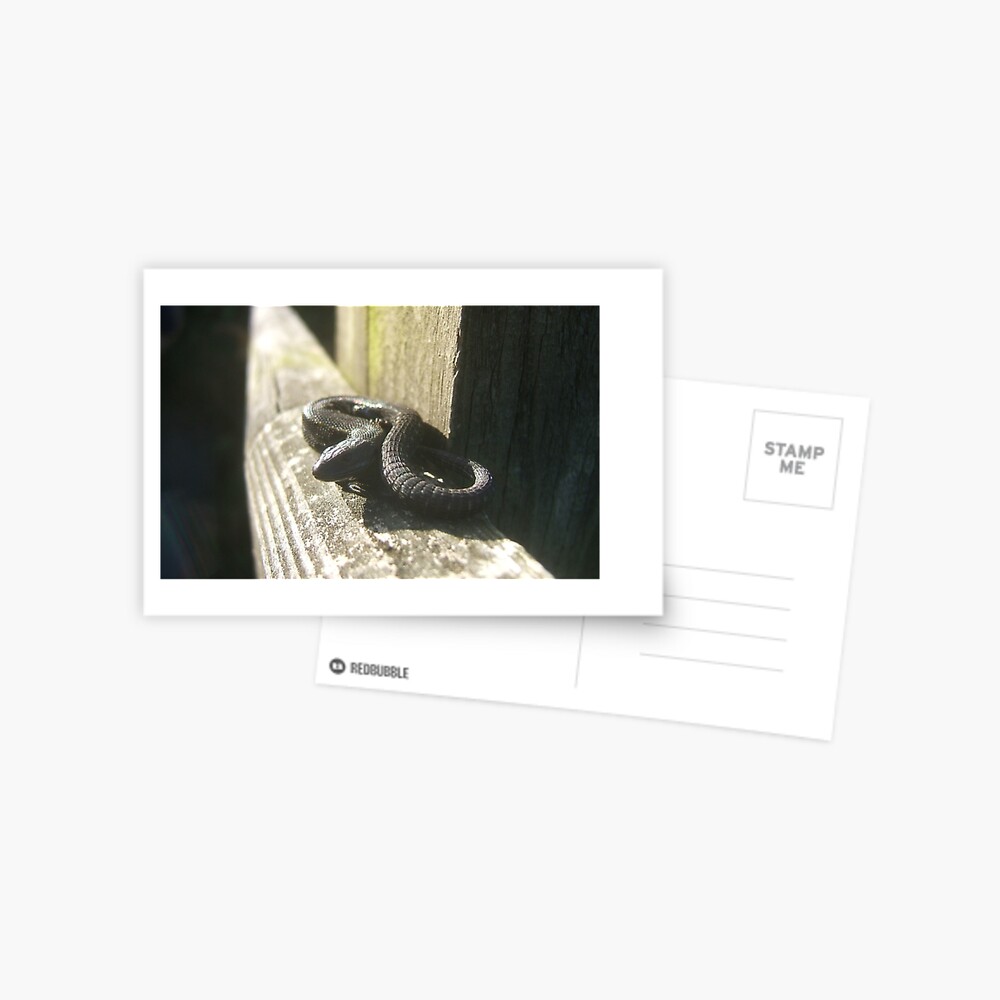 Item preview, Postcard designed and sold by IOMWildFlowers.
