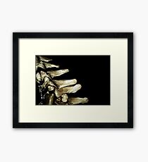 Spine Framed Print