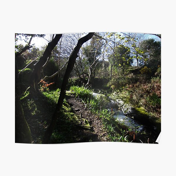 Colby Glen Poster