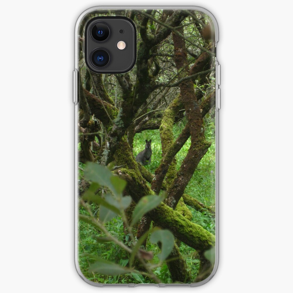 Ballaugh Curraghs iPhone Case & Cover