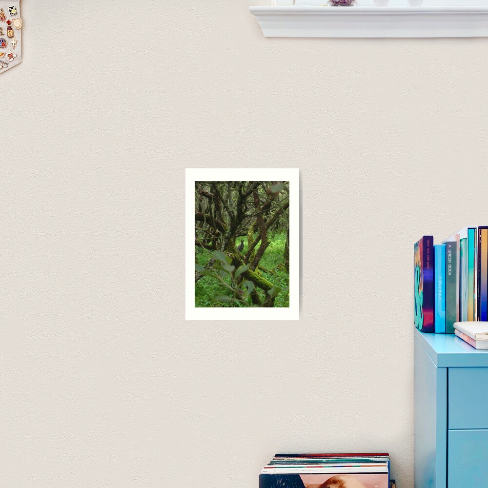Ballaugh Curraghs Art Print