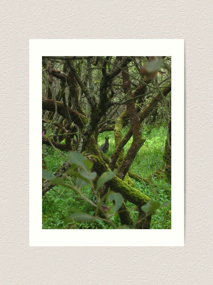 Alternate view of Ballaugh Curraghs Art Print