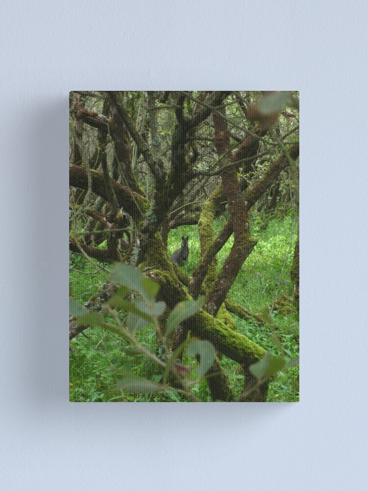Alternate view of Ballaugh Curraghs Canvas Print