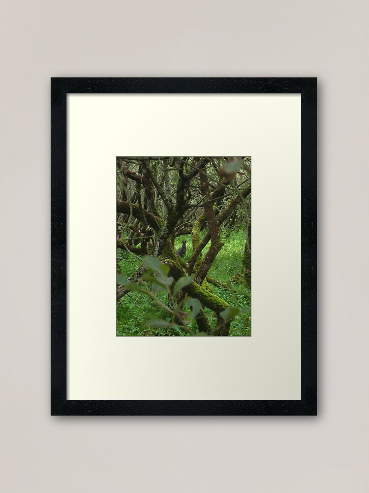 Alternate view of Ballaugh Curraghs Framed Art Print