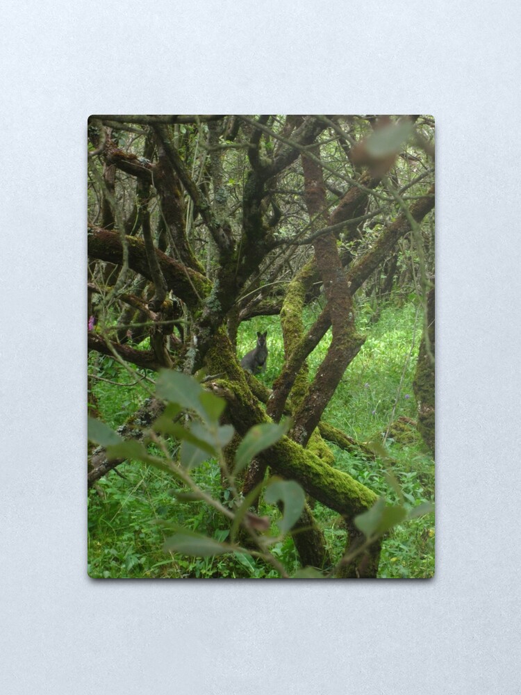 Alternate view of Ballaugh Curraghs Metal Print