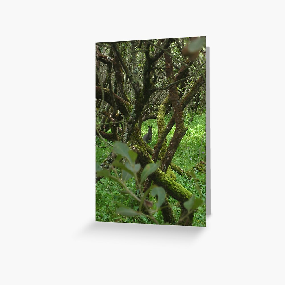 Ballaugh Curraghs Greeting Card