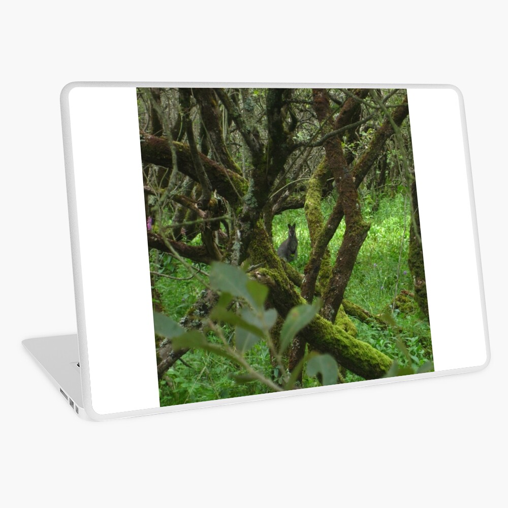 Ballaugh Curraghs Laptop Skin