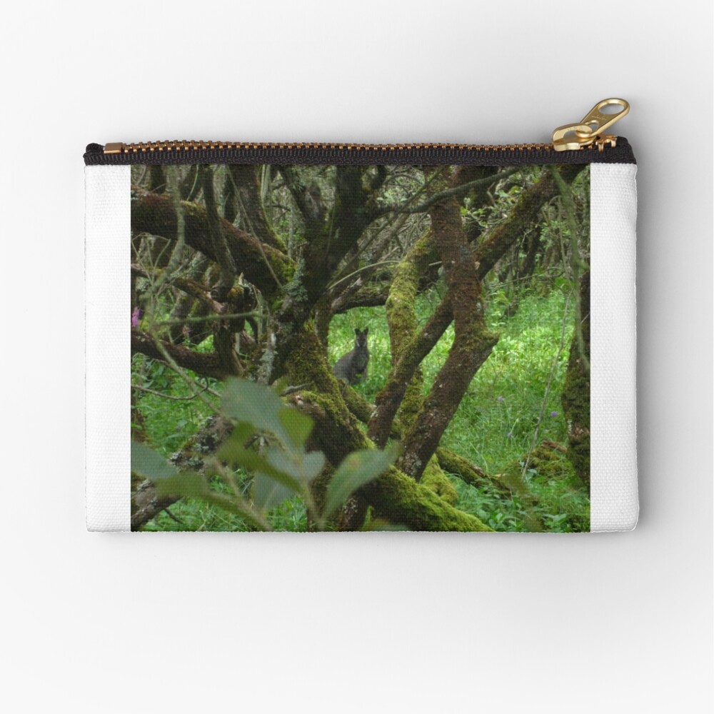 Ballaugh Curraghs Zipper Pouch