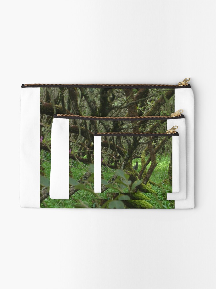 Alternate view of Ballaugh Curraghs Zipper Pouch