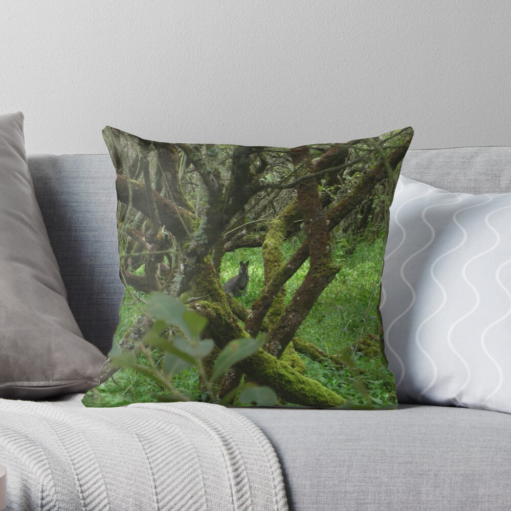 Ballaugh Curraghs Throw Pillow