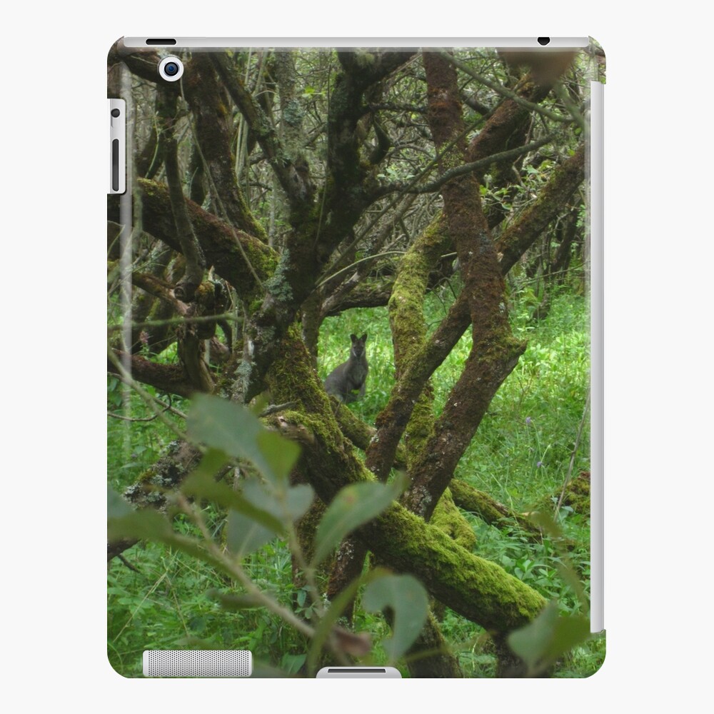 Ballaugh Curraghs iPad Case & Skin