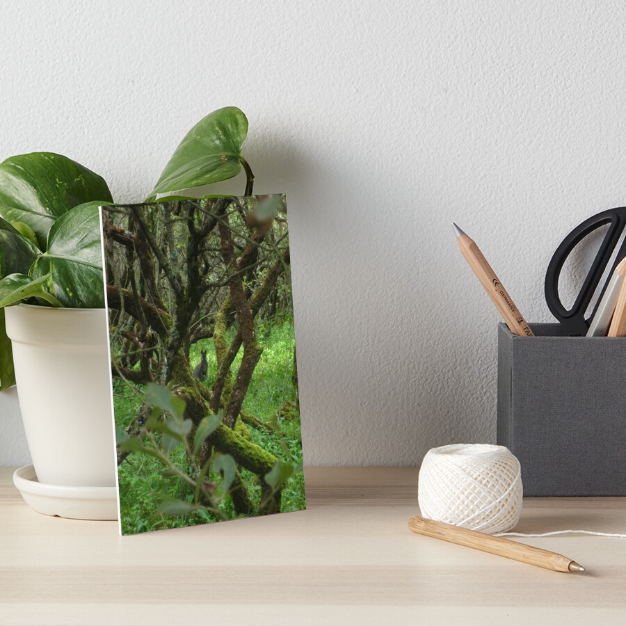 Ballaugh Curraghs Art Board Print