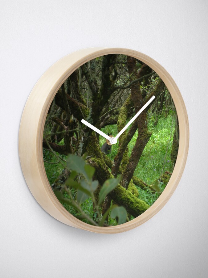Alternate view of Ballaugh Curraghs Clock