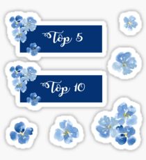 Pegatina Top 5 y Top 10