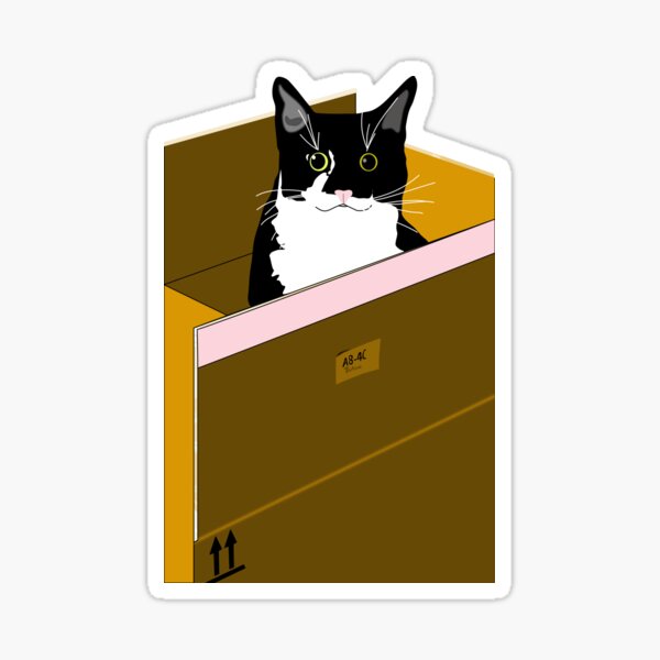 Cat In A Box Cute Tuxedo Cat Nelson Can Fit Sticker For Sale By Teanne Redbubble