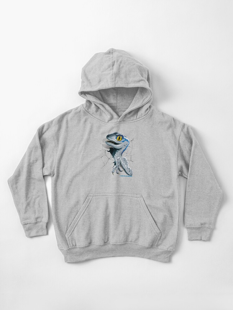 Jurassic world boys hoodie store