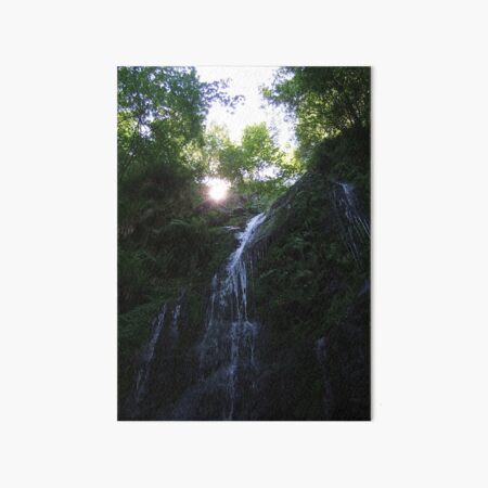 Dhoon Glen Art Board Print