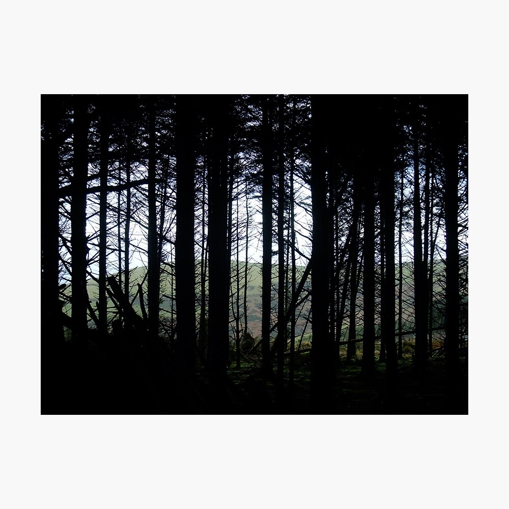 Eary Cushlin Photographic Print
