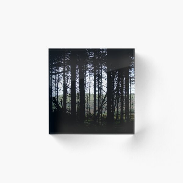 Eary Cushlin Acrylic Block