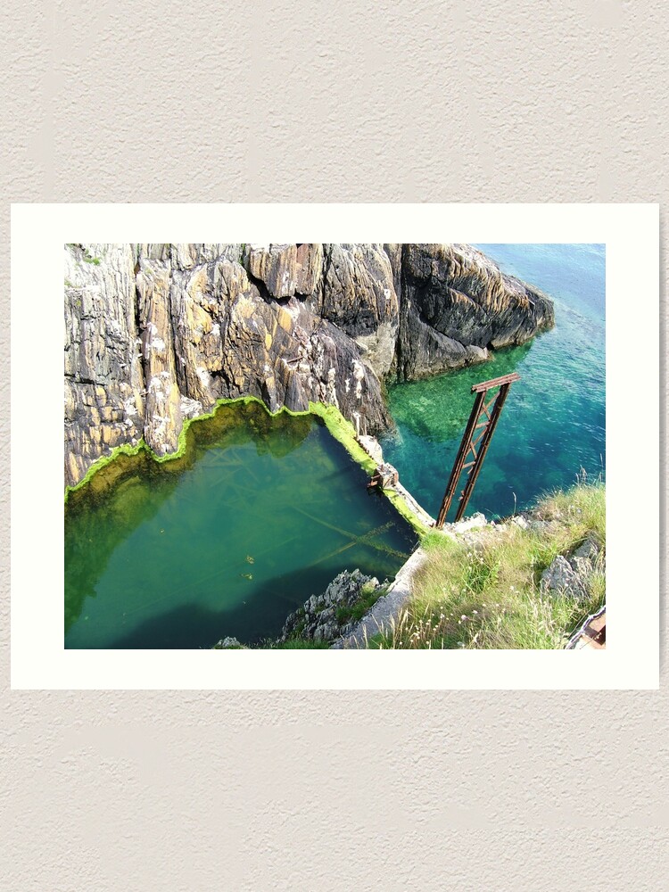 Thumbnail 1 of 3, Art Print, Groudle Glen designed and sold by IOMWildFlowers.