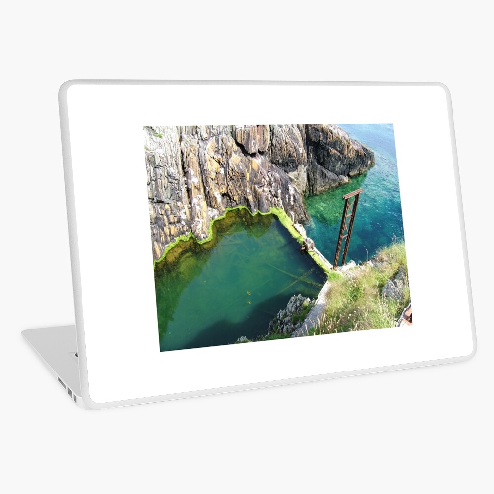 Item preview, Laptop Skin designed and sold by IOMWildFlowers.