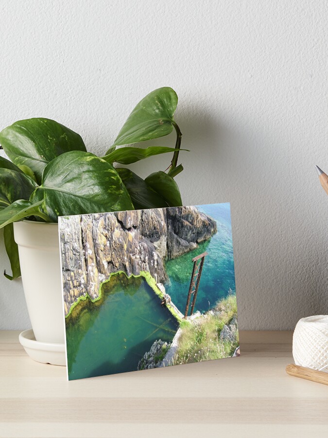 Thumbnail 1 of 2, Art Board Print, Groudle Glen designed and sold by IOMWildFlowers.