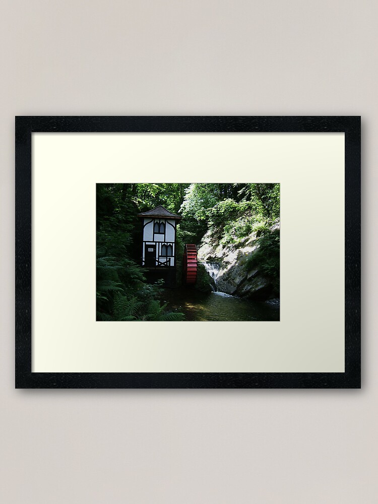Thumbnail 1 of 7, Framed Art Print, Groudle Glen designed and sold by IOMWildFlowers.