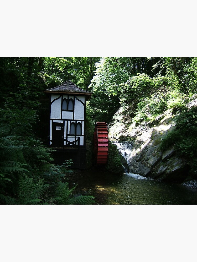 Thumbnail 2 of 2, Postcard, Groudle Glen designed and sold by IOMWildFlowers.