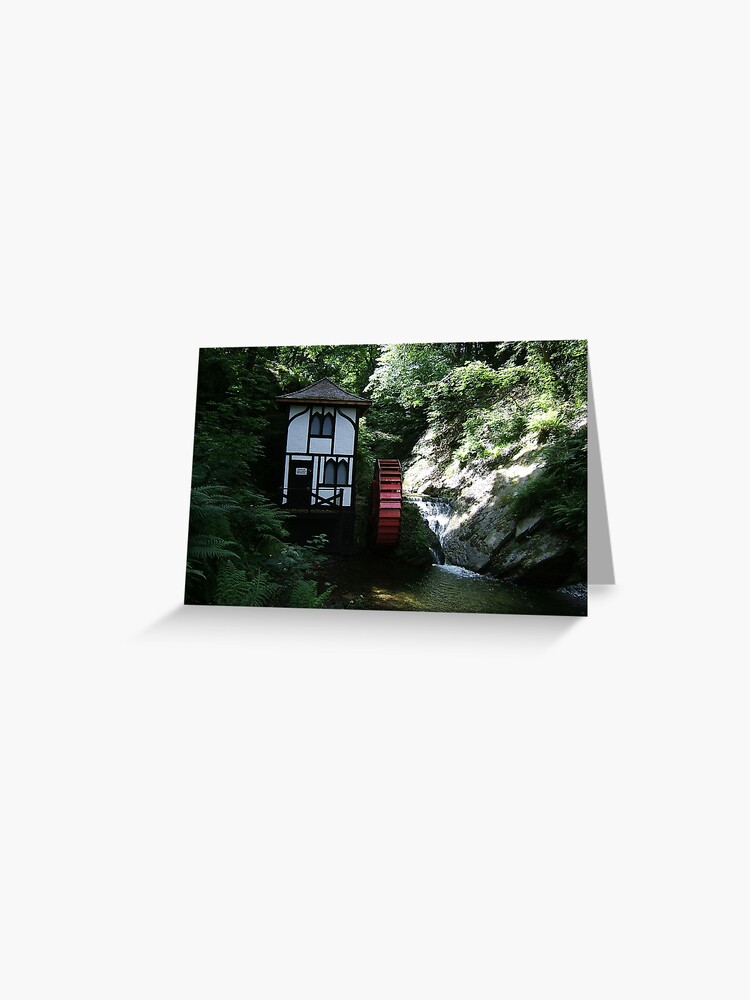 Thumbnail 1 of 2, Greeting Card, Groudle Glen designed and sold by IOMWildFlowers.