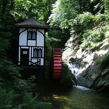 Artwork thumbnail, Groudle Glen by IOMWildFlowers