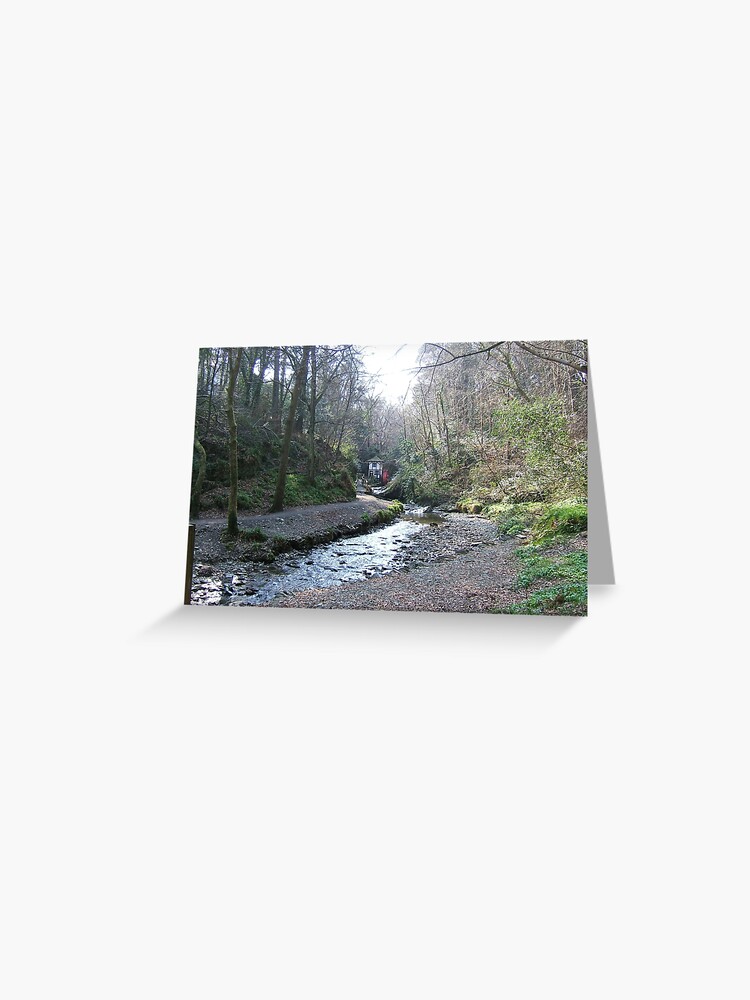 Thumbnail 1 of 2, Greeting Card, Groudle Glen designed and sold by IOMWildFlowers.