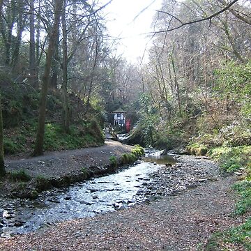 Artwork thumbnail, Groudle Glen by IOMWildFlowers