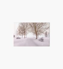 A Beautiful Winter's Morning Art Board