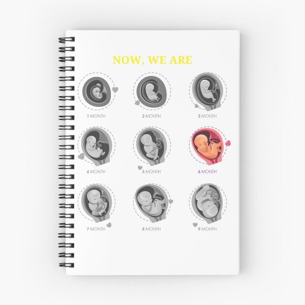 Item preview, Pregnancy period 6th month designed and sold by RoHFF.