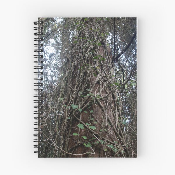Item preview, Tree with ivy in forest designed and sold by LuminusProject.