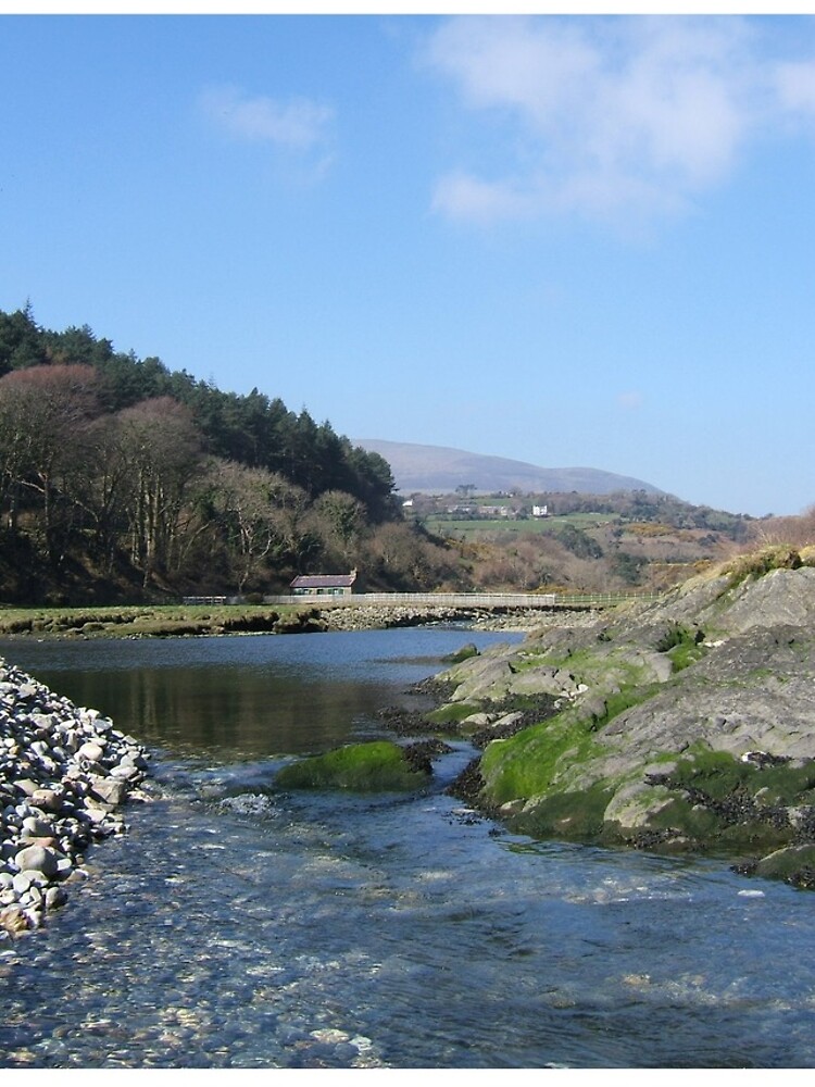 Port Cornaa by IOMWildFlowers