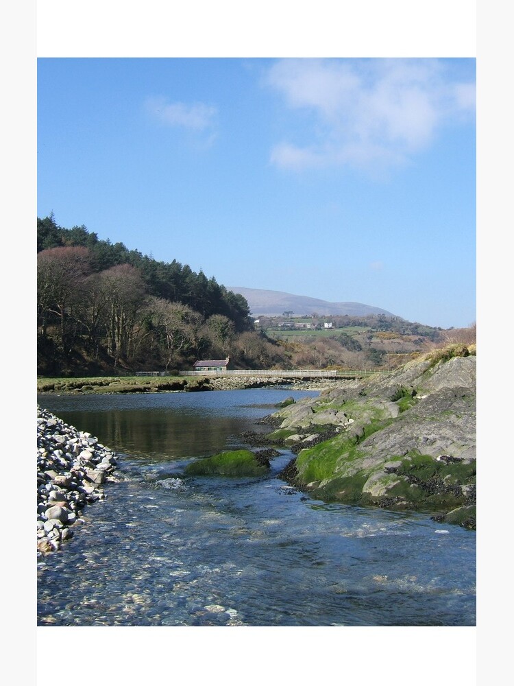 Port Cornaa by IOMWildFlowers