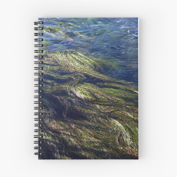 Item preview, Caudal del río con plantas verdes. designed and sold by LuminusProject.