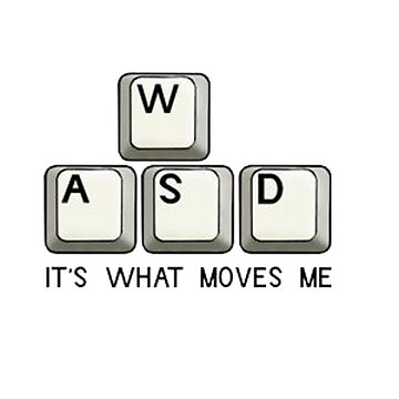 Artwork thumbnail, WASD IT'S WHAT MOVES ME CLASSIC T-SHIRT by CastorWorks