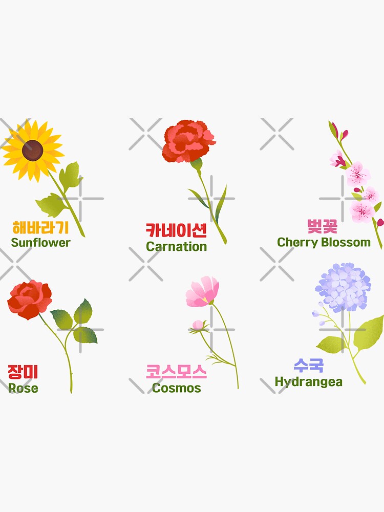 "Flowers Vocabulary I Korean Vocabulary " Sticker for Sale by lereveur Redbubble