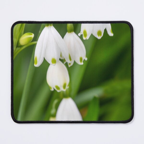 Item preview, Snowdrops  designed and sold by Dave Hare Photography.