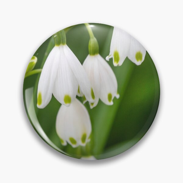 Item preview, Snowdrops  designed and sold by Dave Hare Photography.