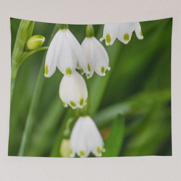 Item preview, Snowdrops  designed and sold by Dave Hare Photography.
