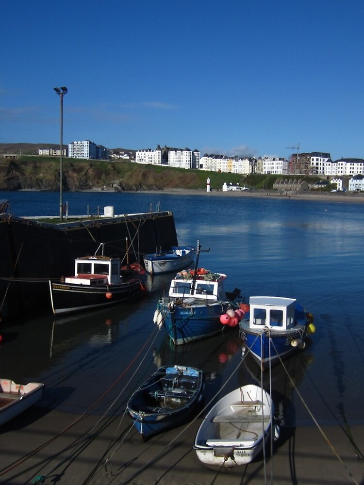 Port Erin by IOMWildFlowers